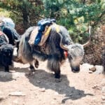 20230324_164137_6AA4E5